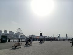 -海河外滩公园