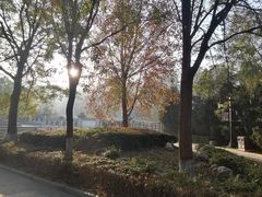 -西安汉城湖景区