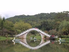 -田野绿世界