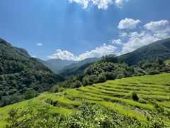 -石台牯牛降景区