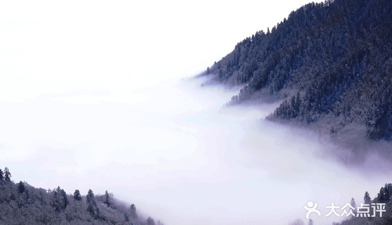 昨天的西岭雪山