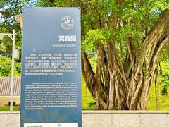 -东莞植物园