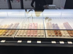 -BLACKSWAN黑天鹅(环球店)