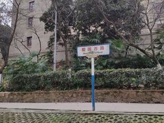-武汉大学-樱园