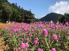 -广州市石门国家森林公园