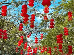 -顺峰山公园