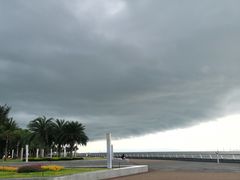 -野狸岛