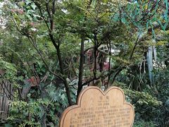 -呀路古热带植物园