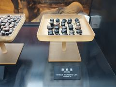 -河姆渡遗址博物馆