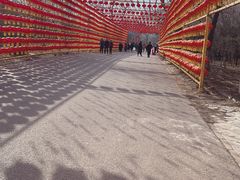 -北京凤凰岭