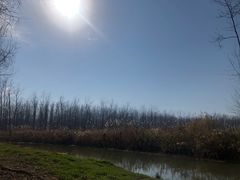 -合肥滨湖国家森林公园