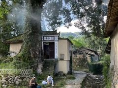 -杨家堂村