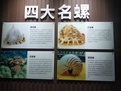 -贝壳王国博物馆
