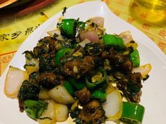 紫苏骨-石岐佬中山菜馆(张溪店)