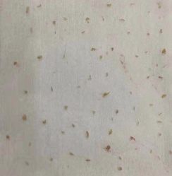 -苗医生专业祛痘·皮肤管理