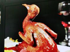 -中苑海韵