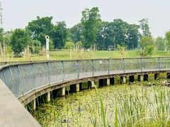 -白鹭湾湿地公园