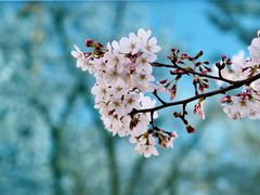 -龙美术馆(西岸馆)