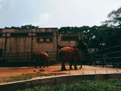 -昆明动物园