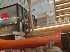 -25#COFFEE(古地石店)