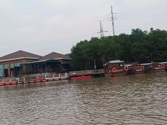 -上海海湾国家森林公园