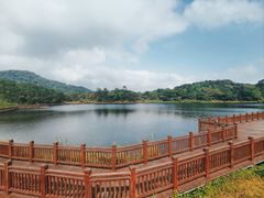 -海南热带雨林国家公园吊罗山景区
