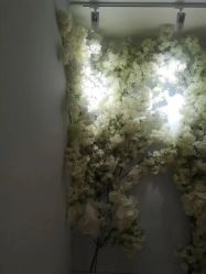-小阿福儿童摄影(光谷时代广场店)