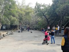 -黄埔古港