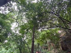 -南国桃园旅游度假区