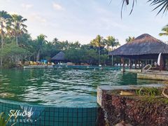 -三亚珠江南田温泉度假区