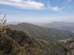 -王顺山国家森林公园