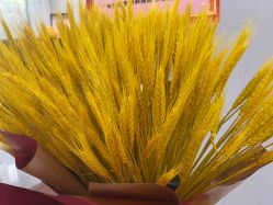 -深圳广和门诊部·整形医疗美容