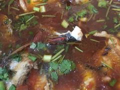 -风鑫铃罗非鱼(道沟店)