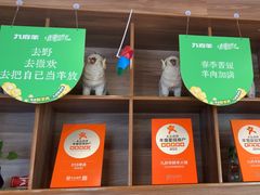 -九府羊鲜羊火锅·烧烤(任丘东风美食街店)