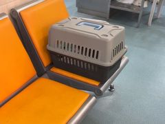 -动物缘宠物医院·骨科·猫科(西二环店)