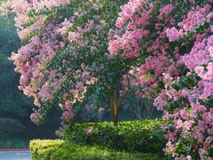 -杭州城北体育公园