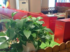 -九府羊鲜羊火锅·烧烤(任丘东风美食街店)