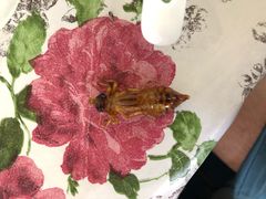 -金台阶鱼馆(于桥水库店)