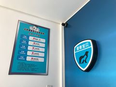 -中农大我爱我爱24h动物医院·中医针灸·猫专科·骨科医疗中心(双井店)