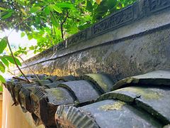 -普陀山慧济禅寺