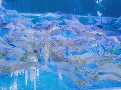 -百姓渔村(朝阳店)