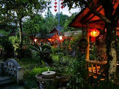 -青城甲(青城山店)