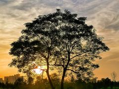 -汉长安城未央宫国家考古遗址公园