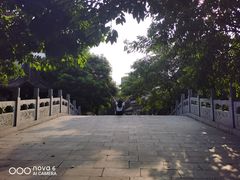 -龙潭水乡