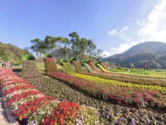-广州市石门国家森林公园