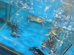 -麦德龙(闵行店)