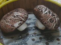 -肥佬夜茶(早茶·西乡店)