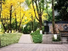 -重庆市江北嘴中央商务区中央公园