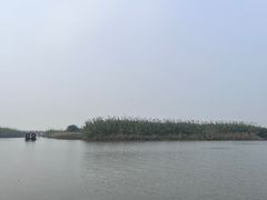 -宁波杭州湾国家湿地公园