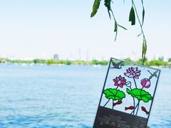 -济南大明湖景区